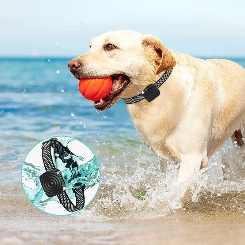 Vandtæt Hunde Træningshalsbånd med Skånsom Lyd og Vibration