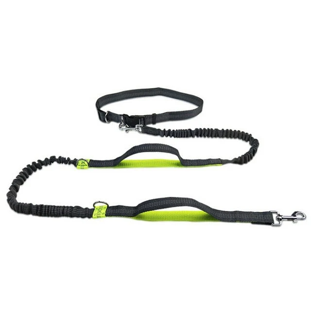 Håndfri elastisk talje hundesnor