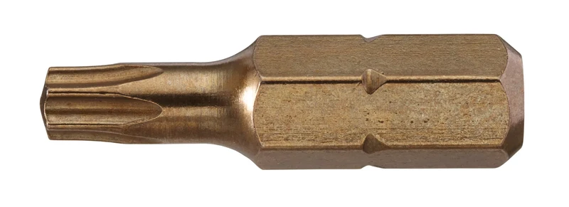 BITS TORX T10 10 PACK