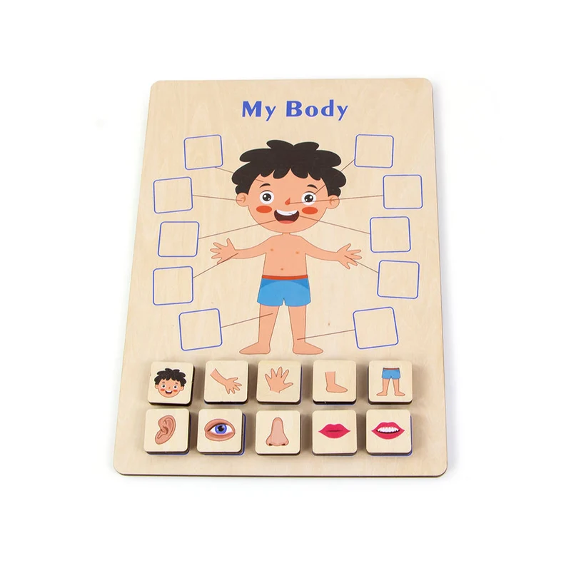 Montessori Holzpuzzle Körperteile – Anatomie-Lernspiel