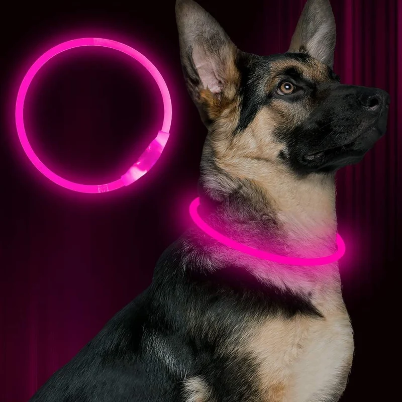 GlowSafe LED Hundehalsbånd – Genopladeligt USB Sikkerhedslys
