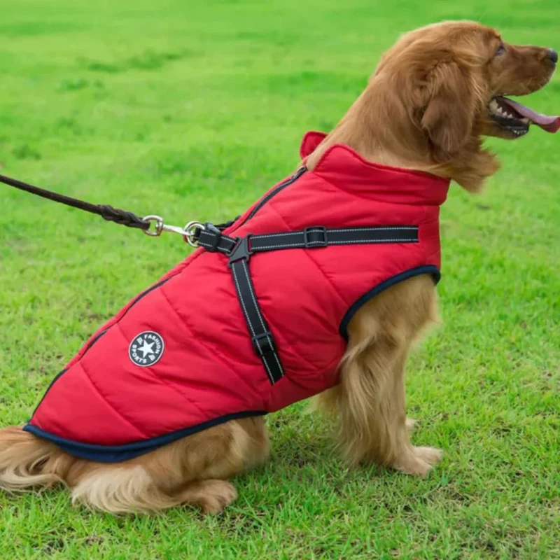 Varm og Vandtæt Hundejakke til Vinteren