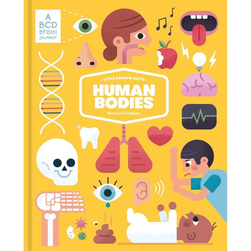 Little-Known Facts: The Human Body