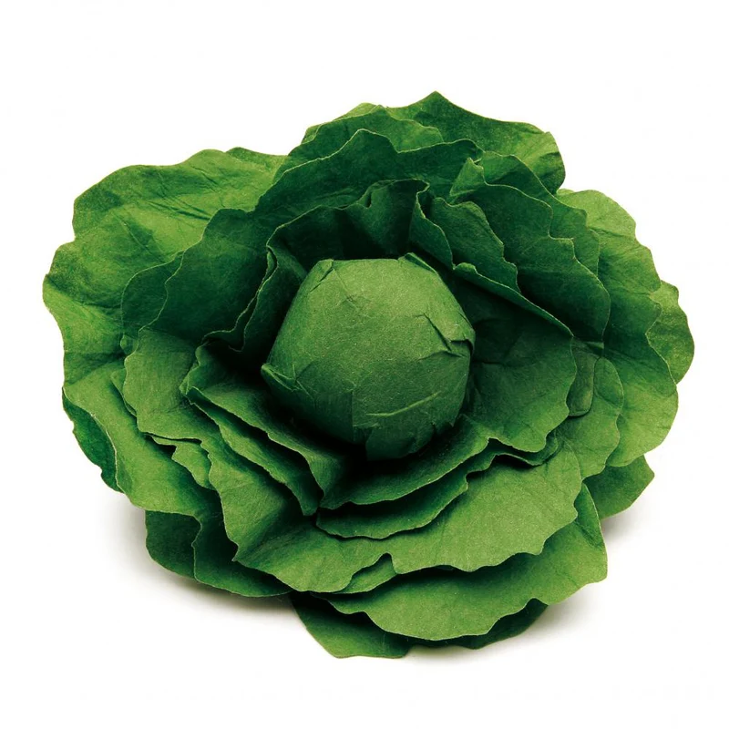 Erzi Lettuce