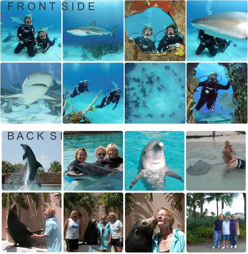 Phototiles 8 small