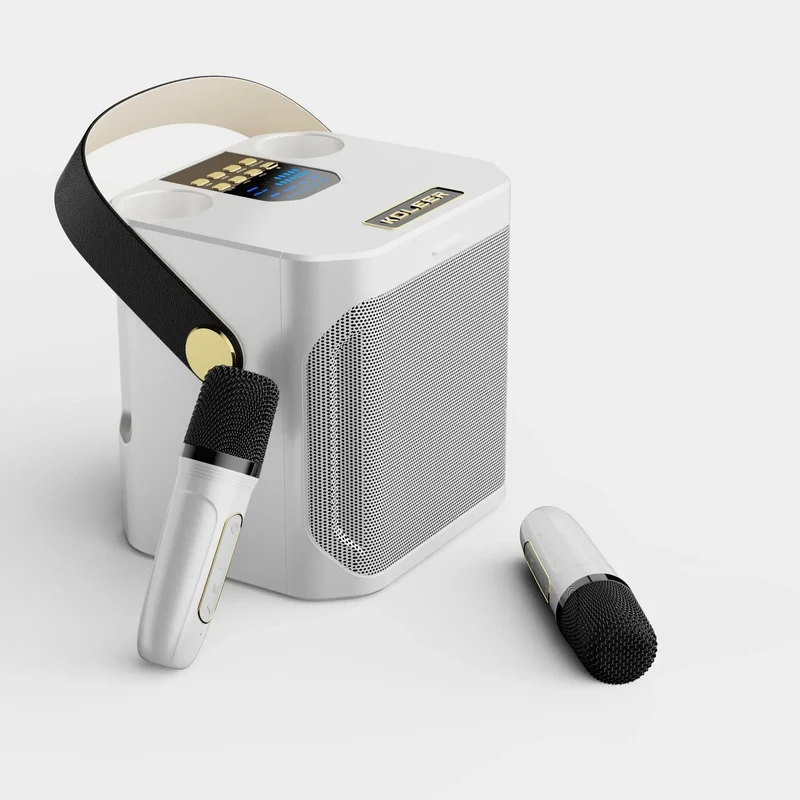 Bærbar Bluetooth Højttaler med Dobbelt Mikrofon til Karaoke